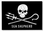 sea shepherd 1